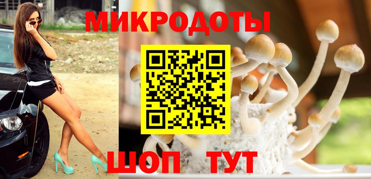 Псилоцибиновые грибы Psilocybine cubensis Шахты